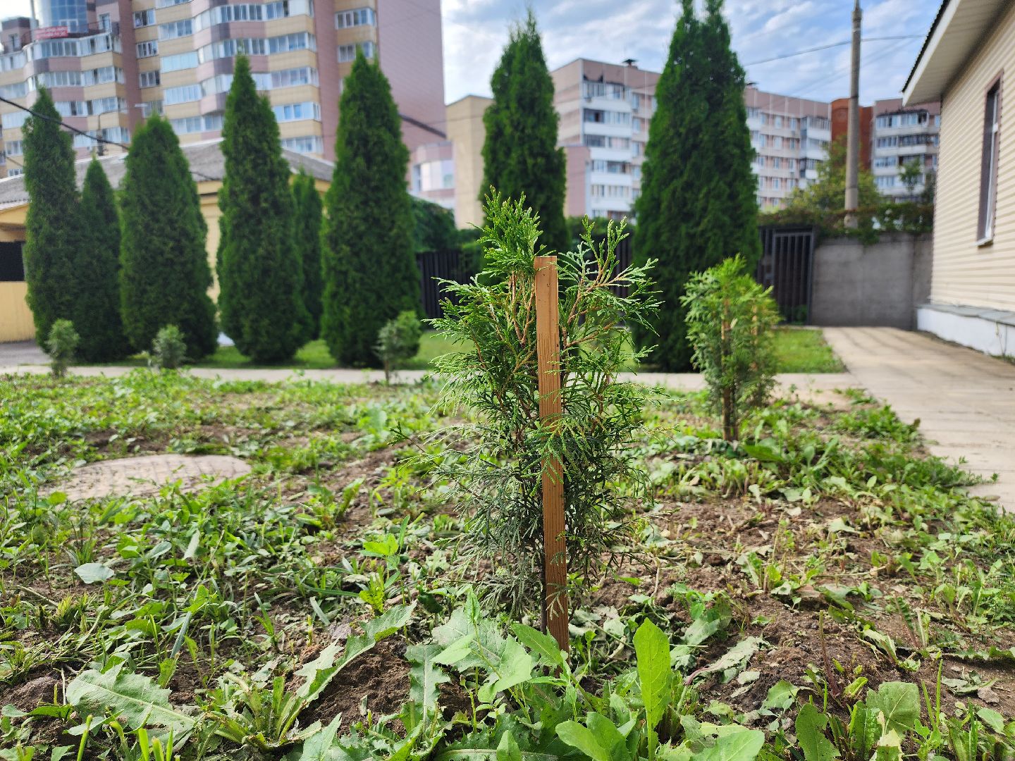 МВД, Аллея Ветеранов, полиция, Ногинск, Богородский городской округ
