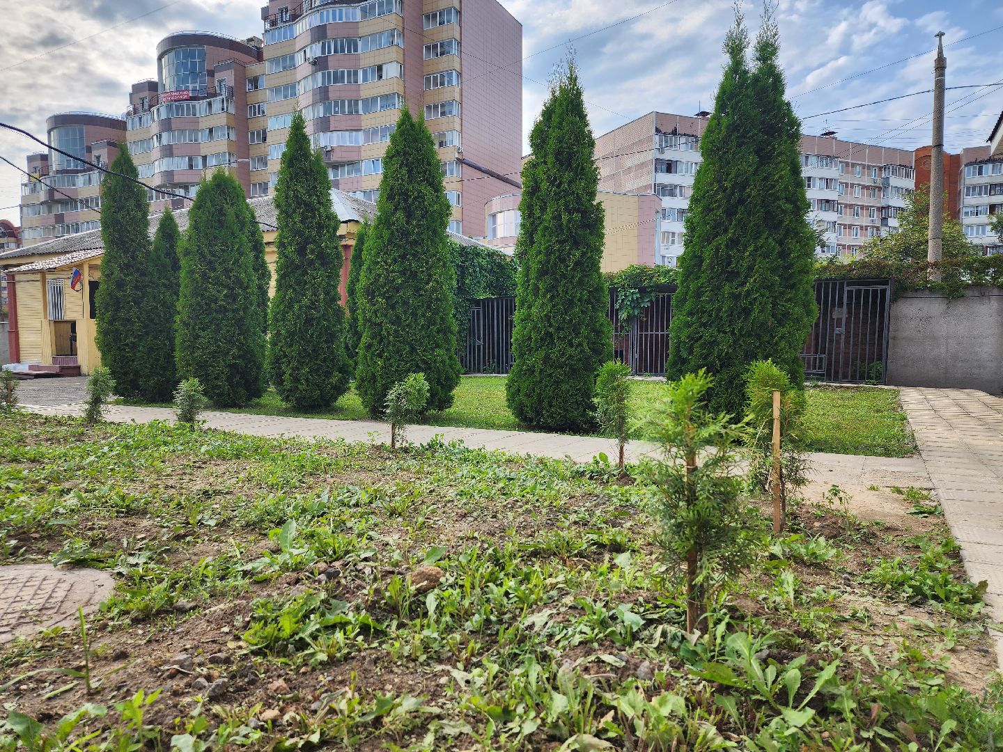 МВД, Аллея Ветеранов, полиция, Ногинск, Богородский городской округ