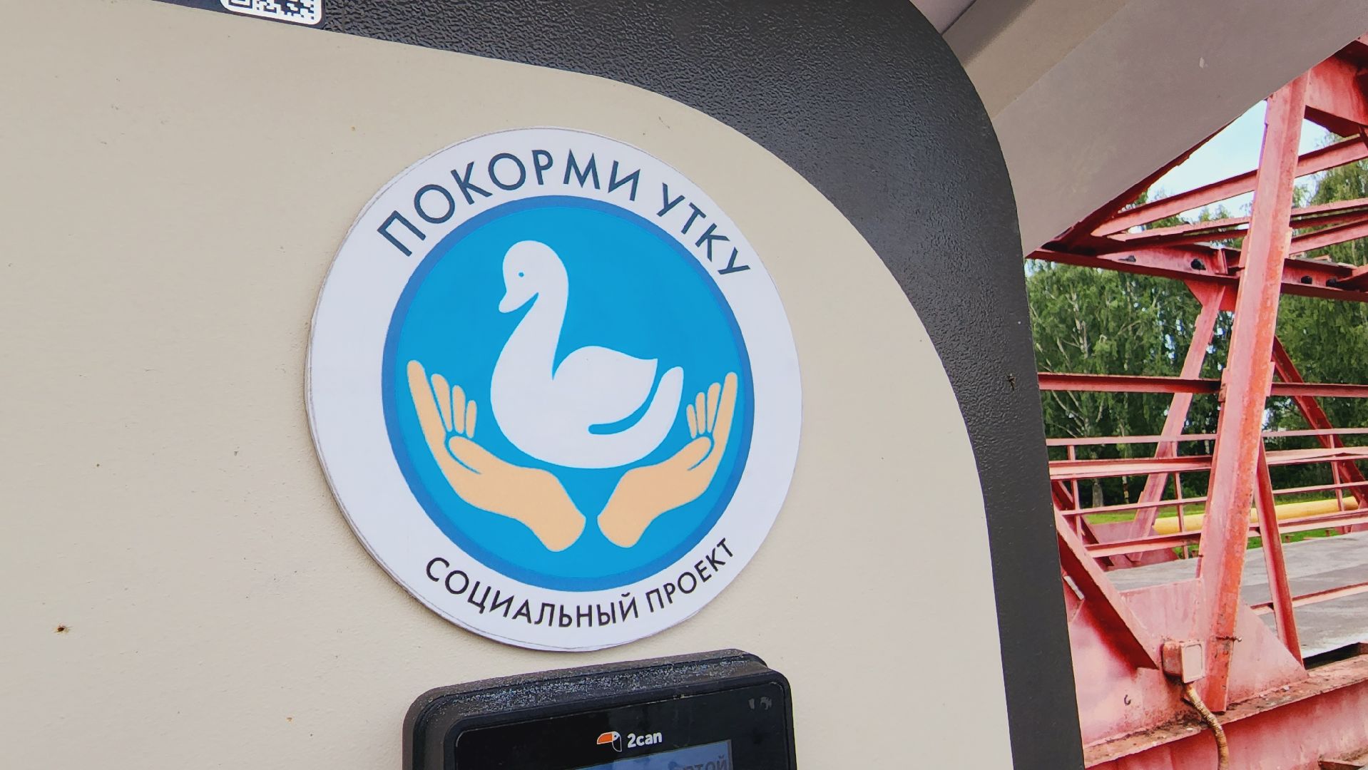 Подмосковье, Ивантеевка, Покорми уток, утка, корм