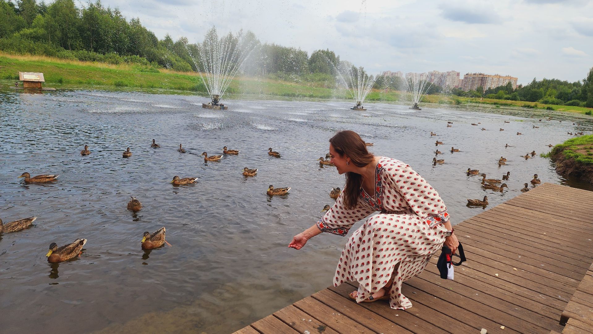 Подмосковье, Ивантеевка, Покорми уток, утка, корм