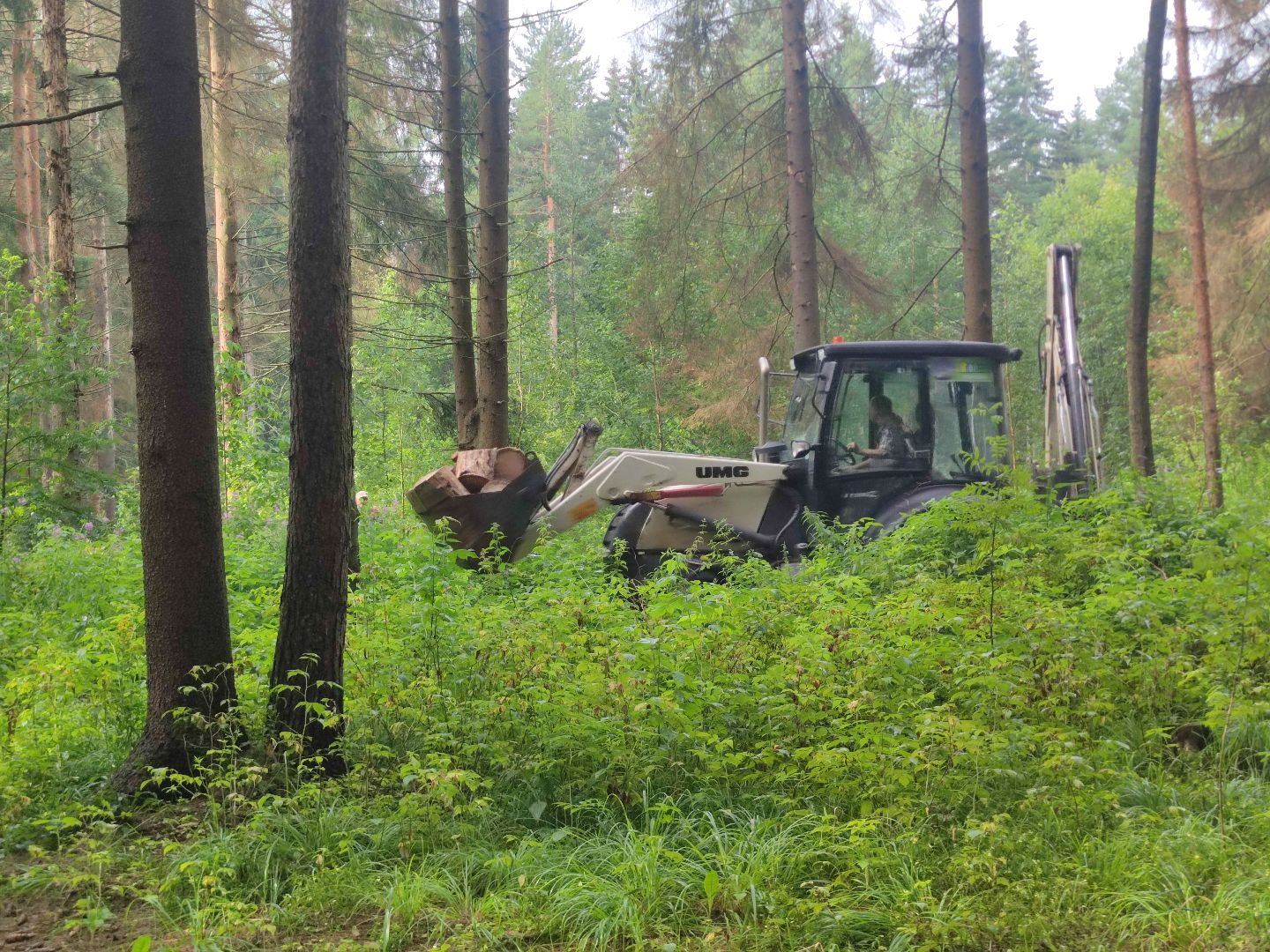 Уборка деревьев, ЖКХ, благоустройство, Добродел, Дубна