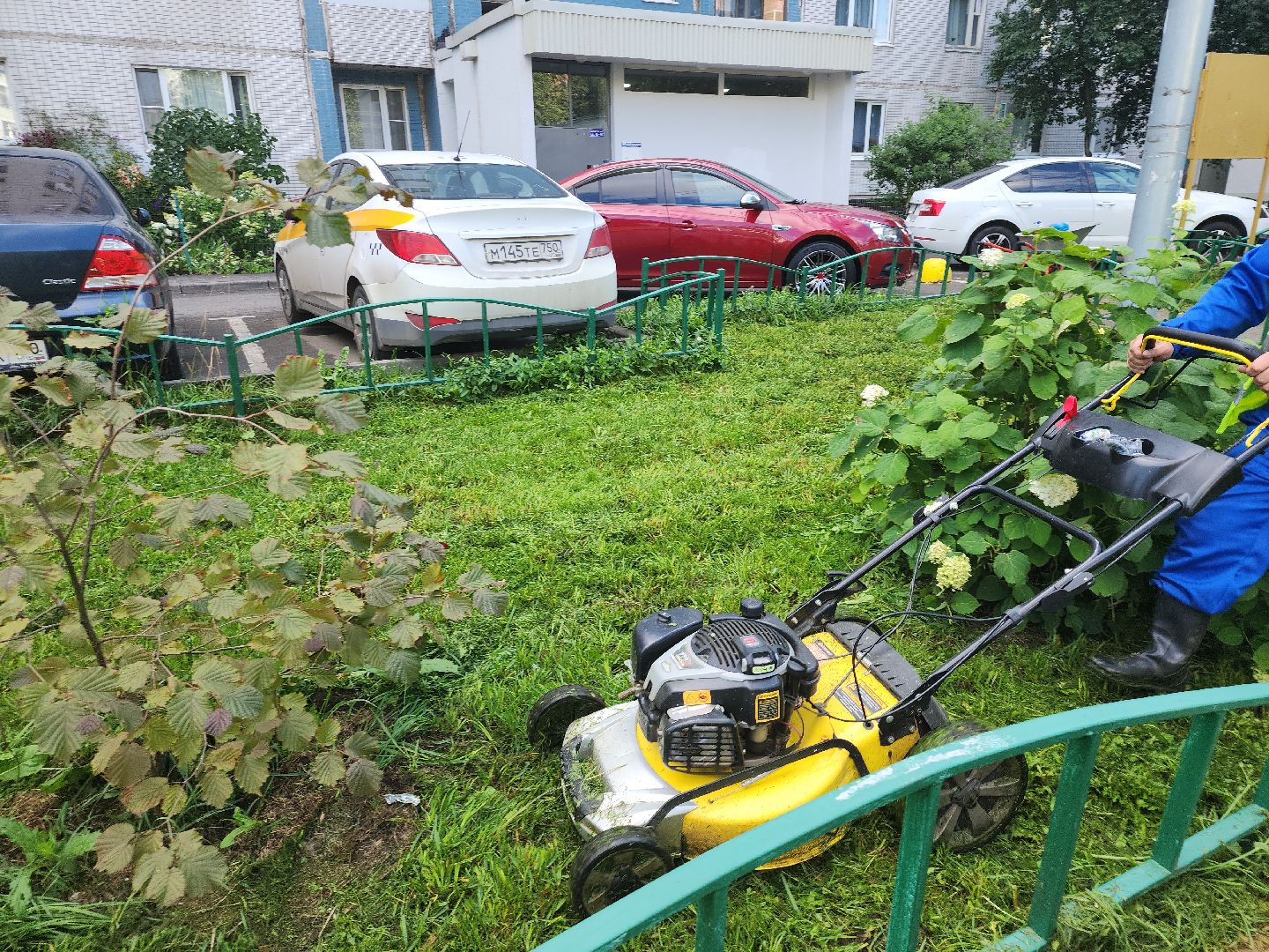 жкх; благоустройство; покос; видное