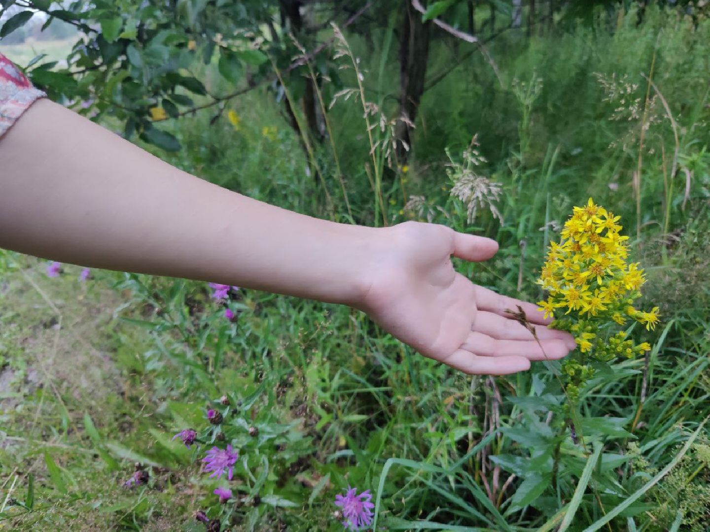 Нахабино, цветы, букет