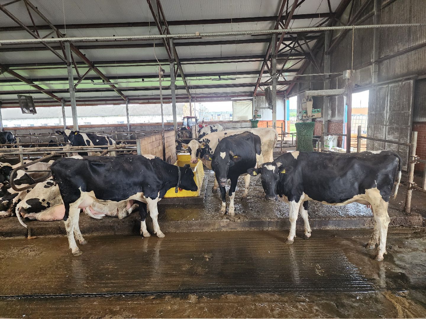 Звенигород, сельское хозяйство, фермерство, меры поддержки фермерам