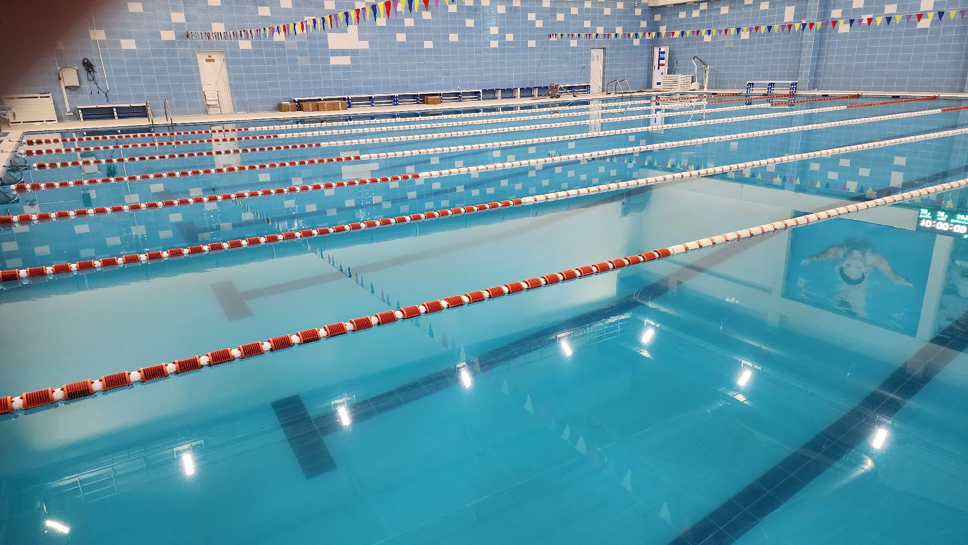 Долгопрудный, ремонт, бассейн, робот-пылесос