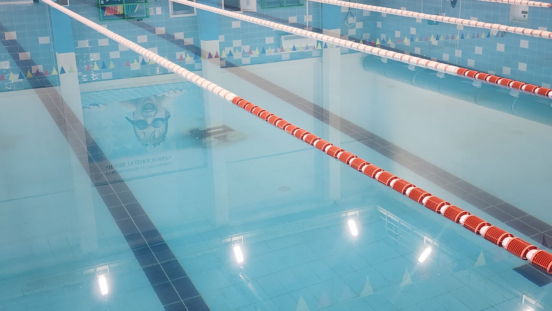 Долгопрудный, ремонт, бассейн, робот-пылесос