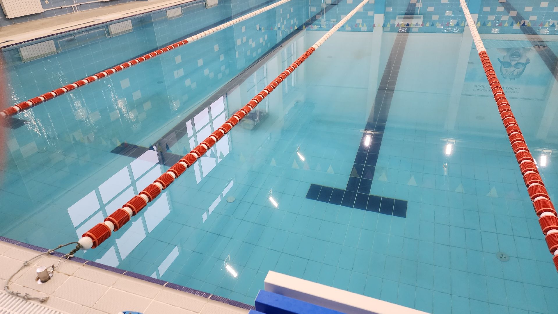 Долгопрудный, ремонт, бассейн, робот-пылесос