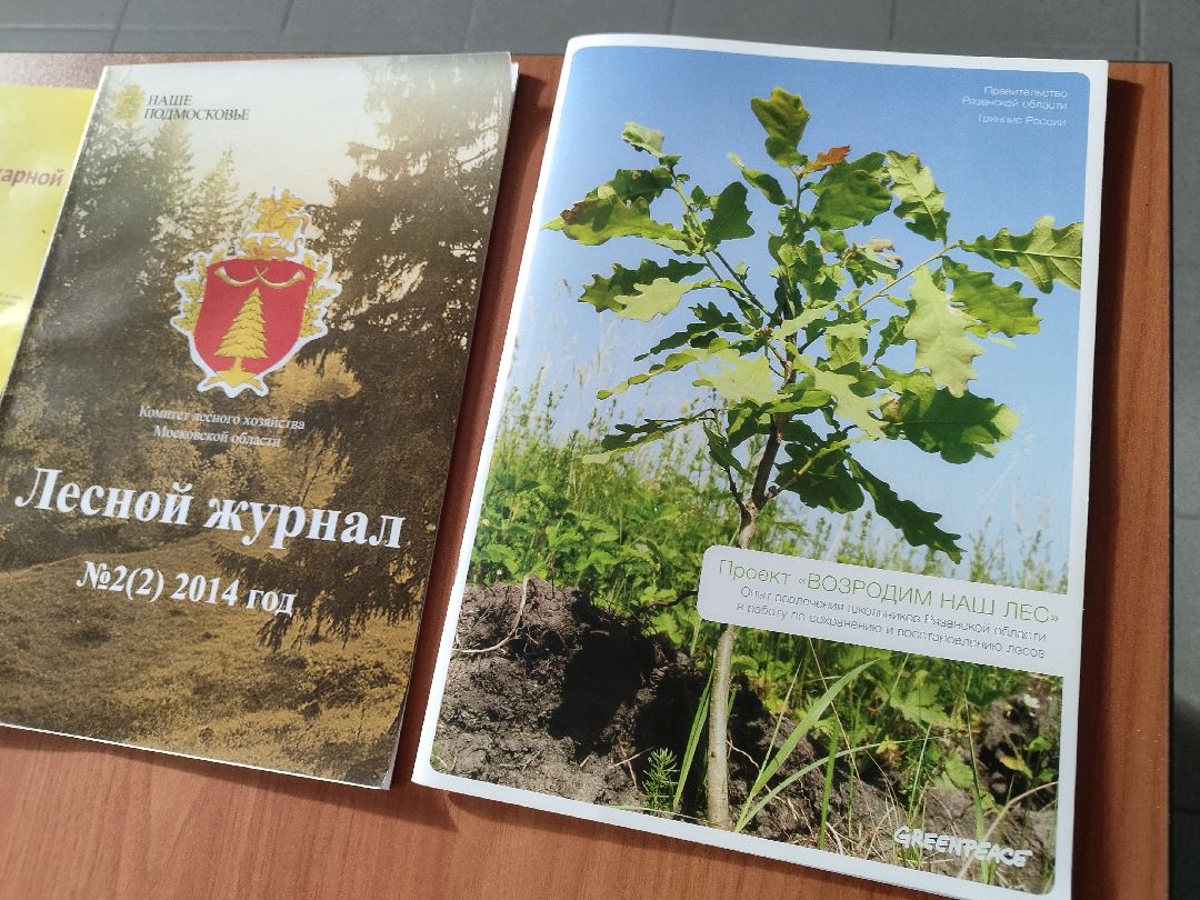 Истра, СВО, женщина, лес,