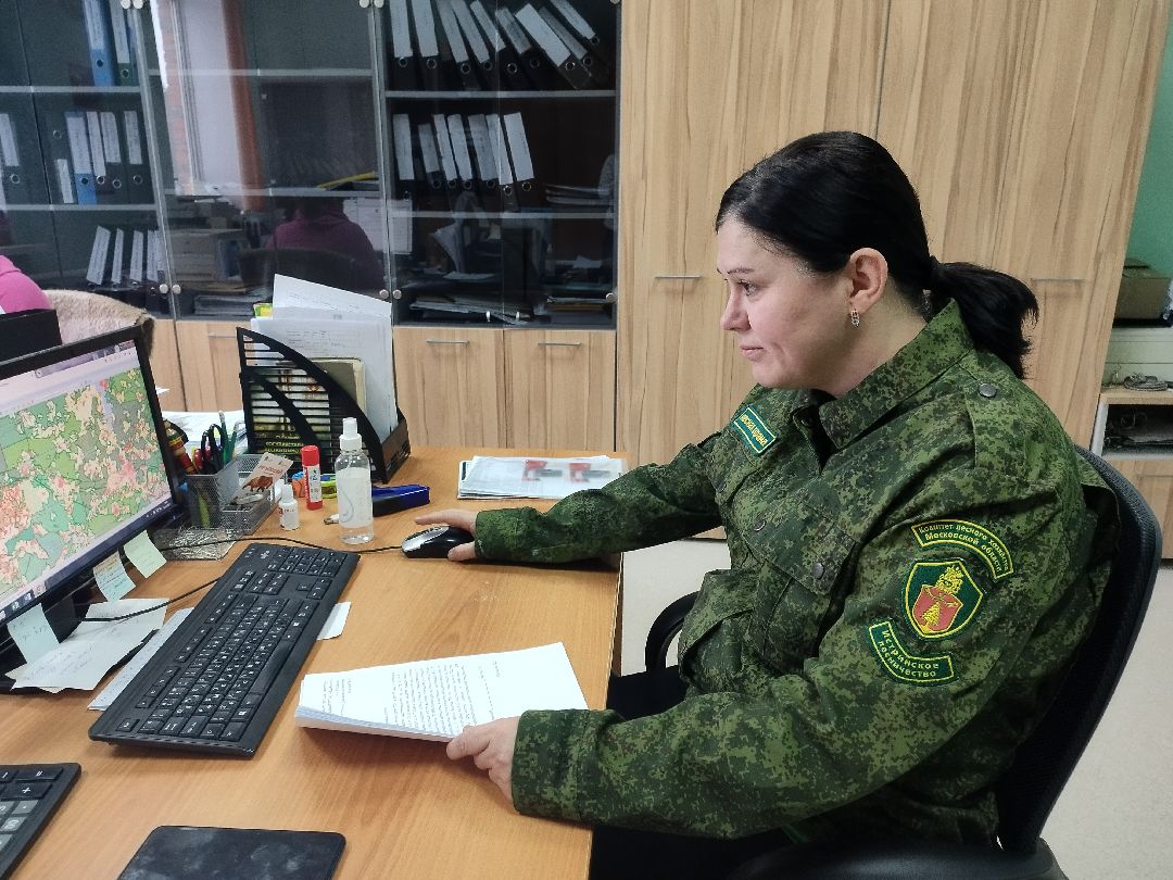 Истра, СВО, женщина, лес,