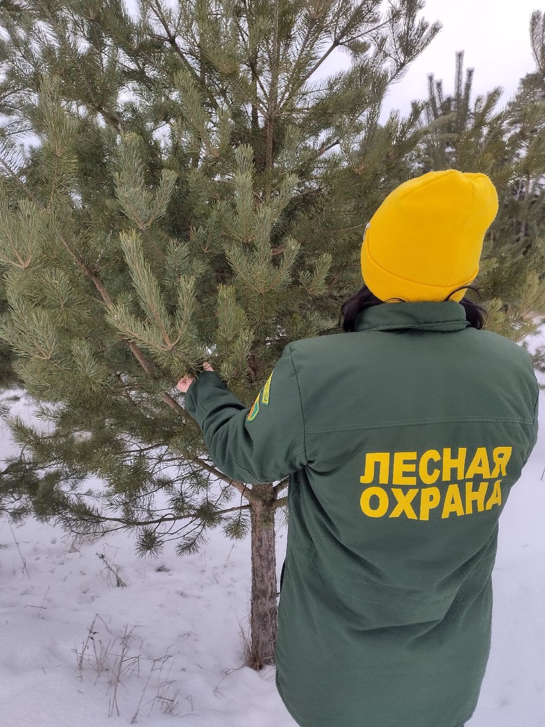 Истра, СВО, женщина, лес,