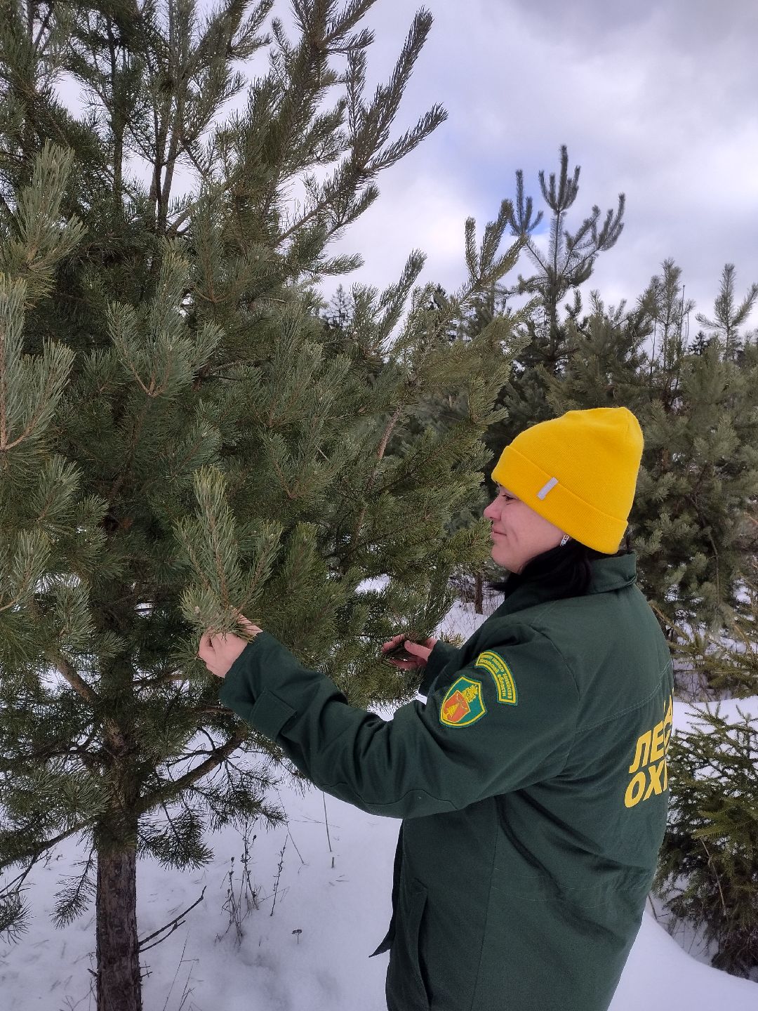 Истра, СВО, женщина, лес,