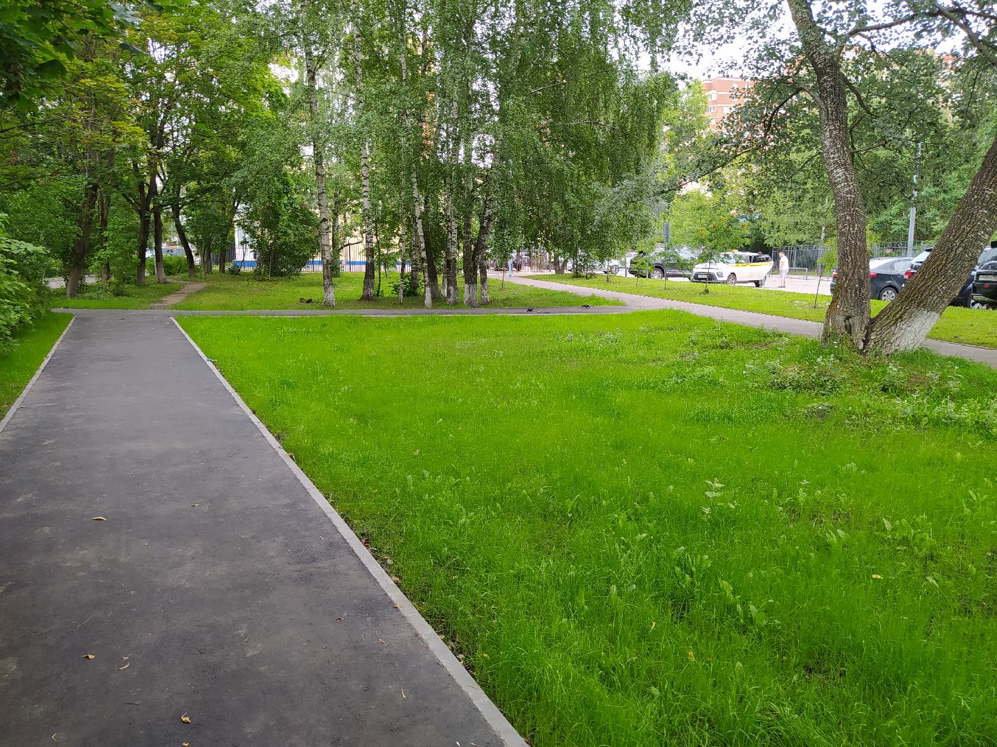 Нахабино, тропинка, благоустройство