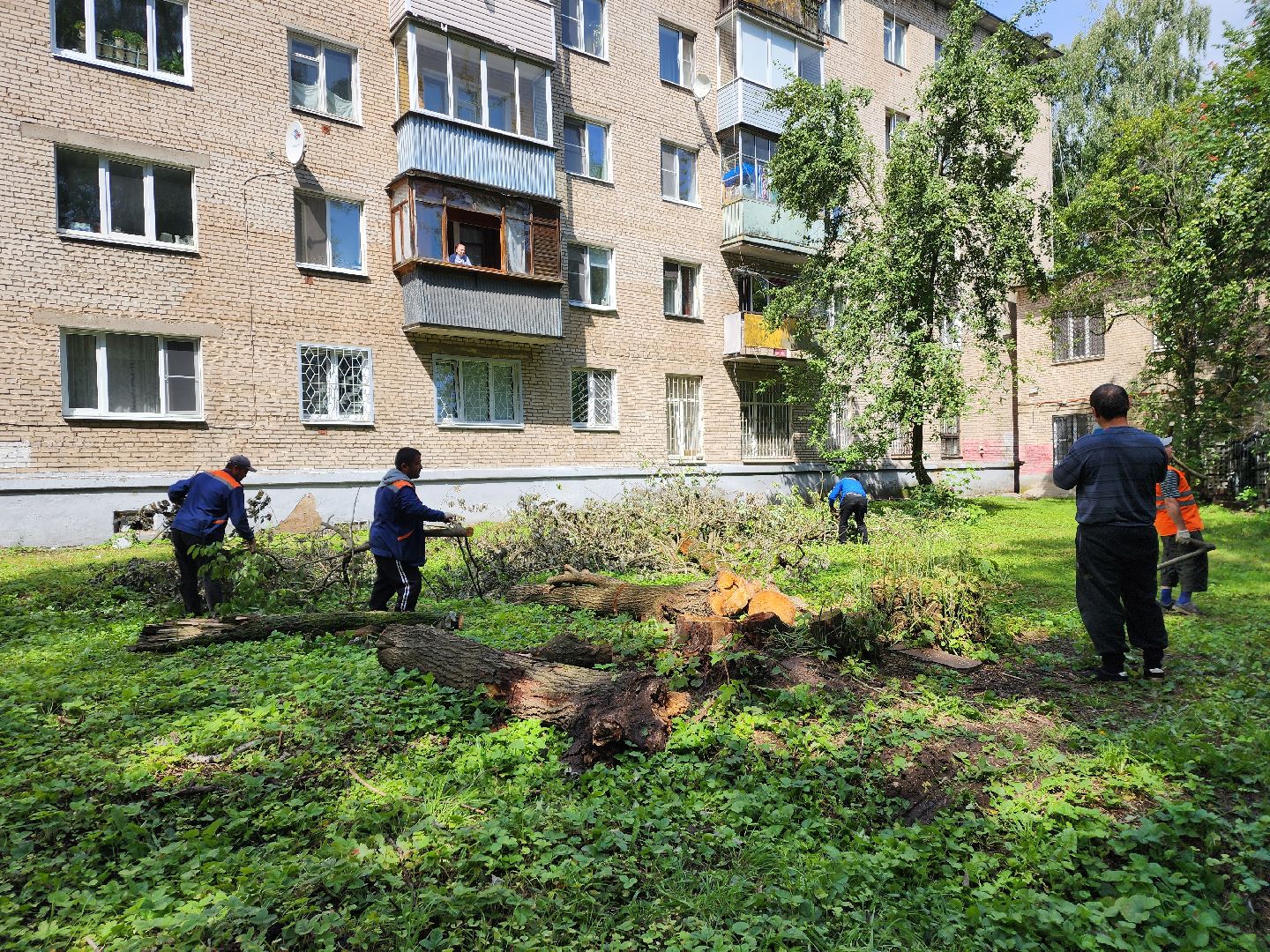 двор, ветер, дождь, доброе дело,