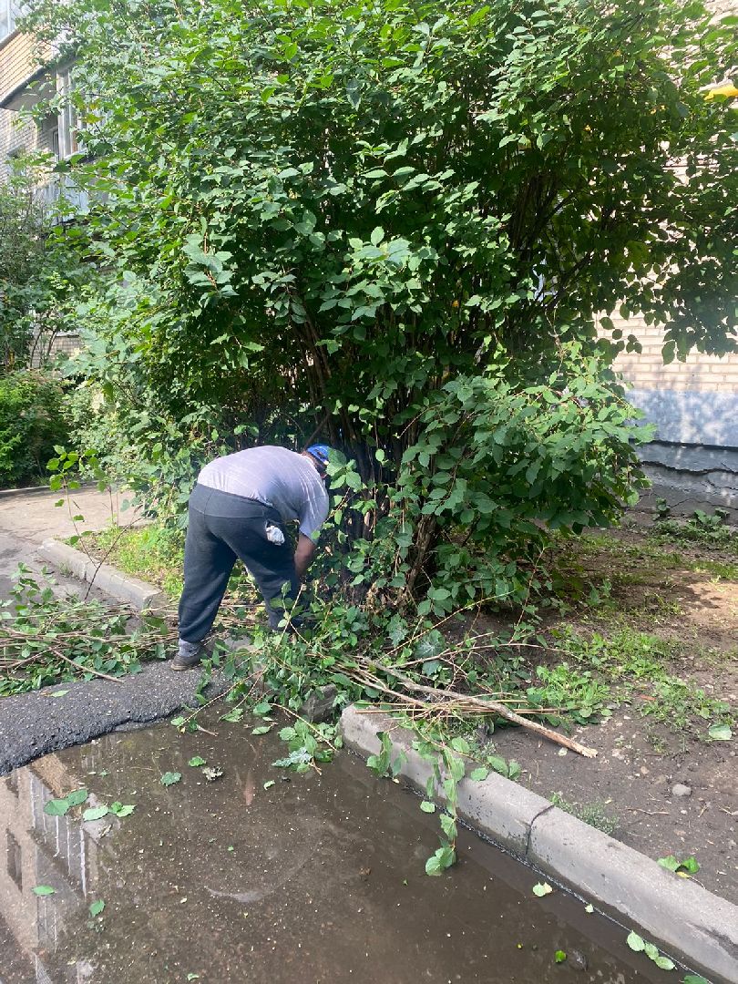 двор, ветер, дождь, доброе дело,