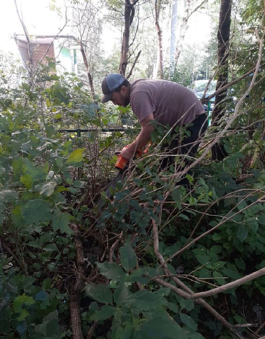 двор, ветер, дождь, доброе дело,