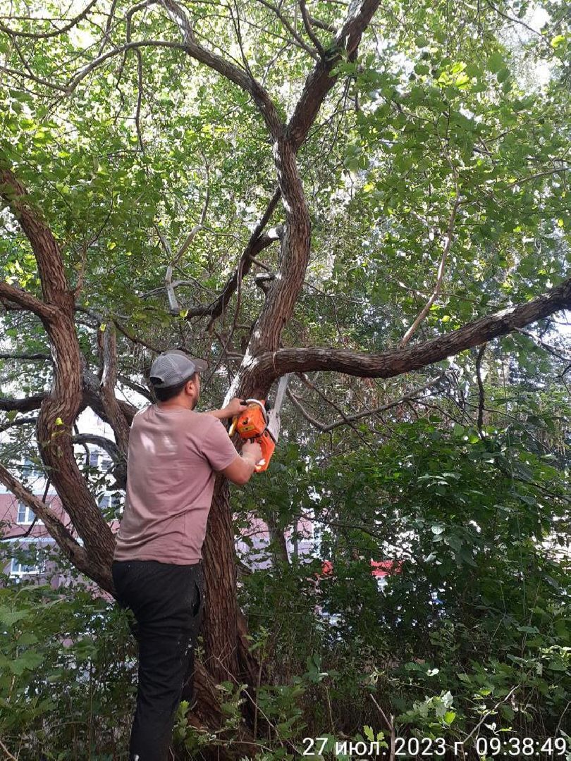 двор, ветер, дождь, доброе дело,