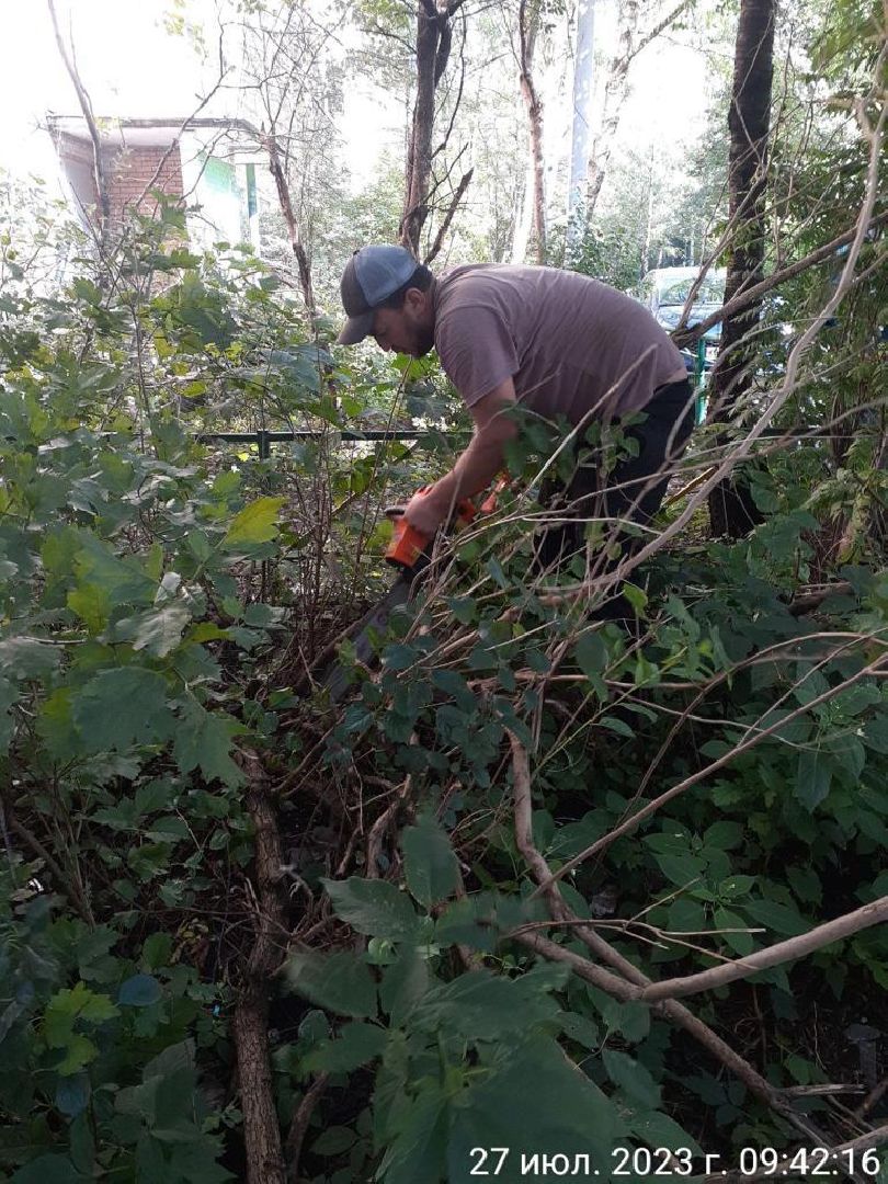 двор, ветер, дождь, доброе дело,