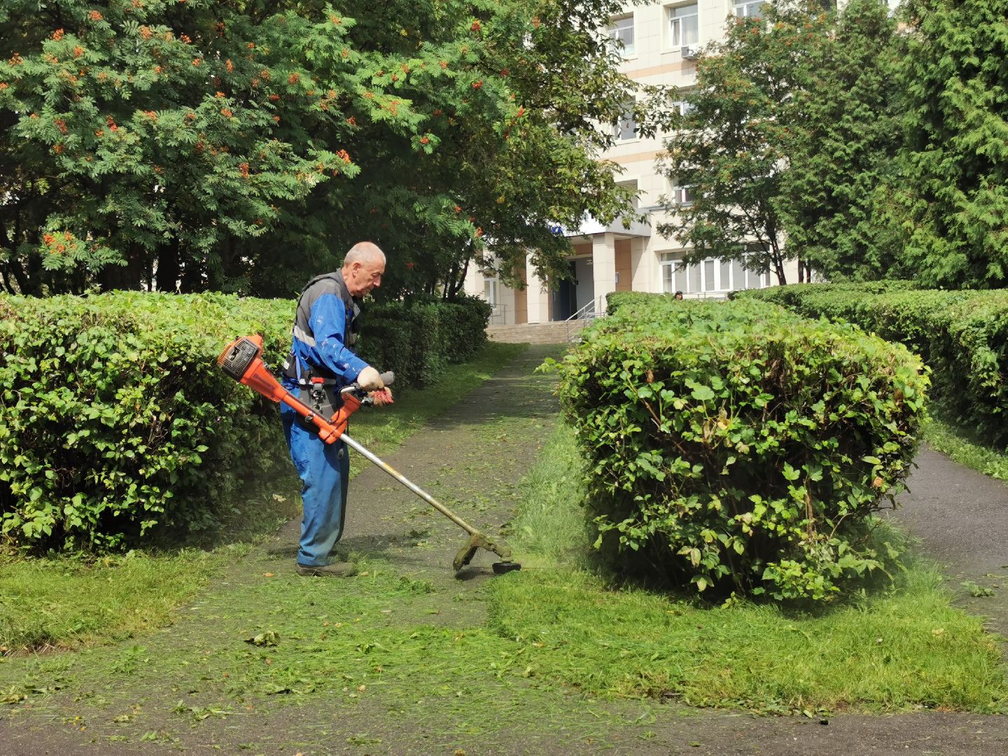 Подольск, трава, жкх
