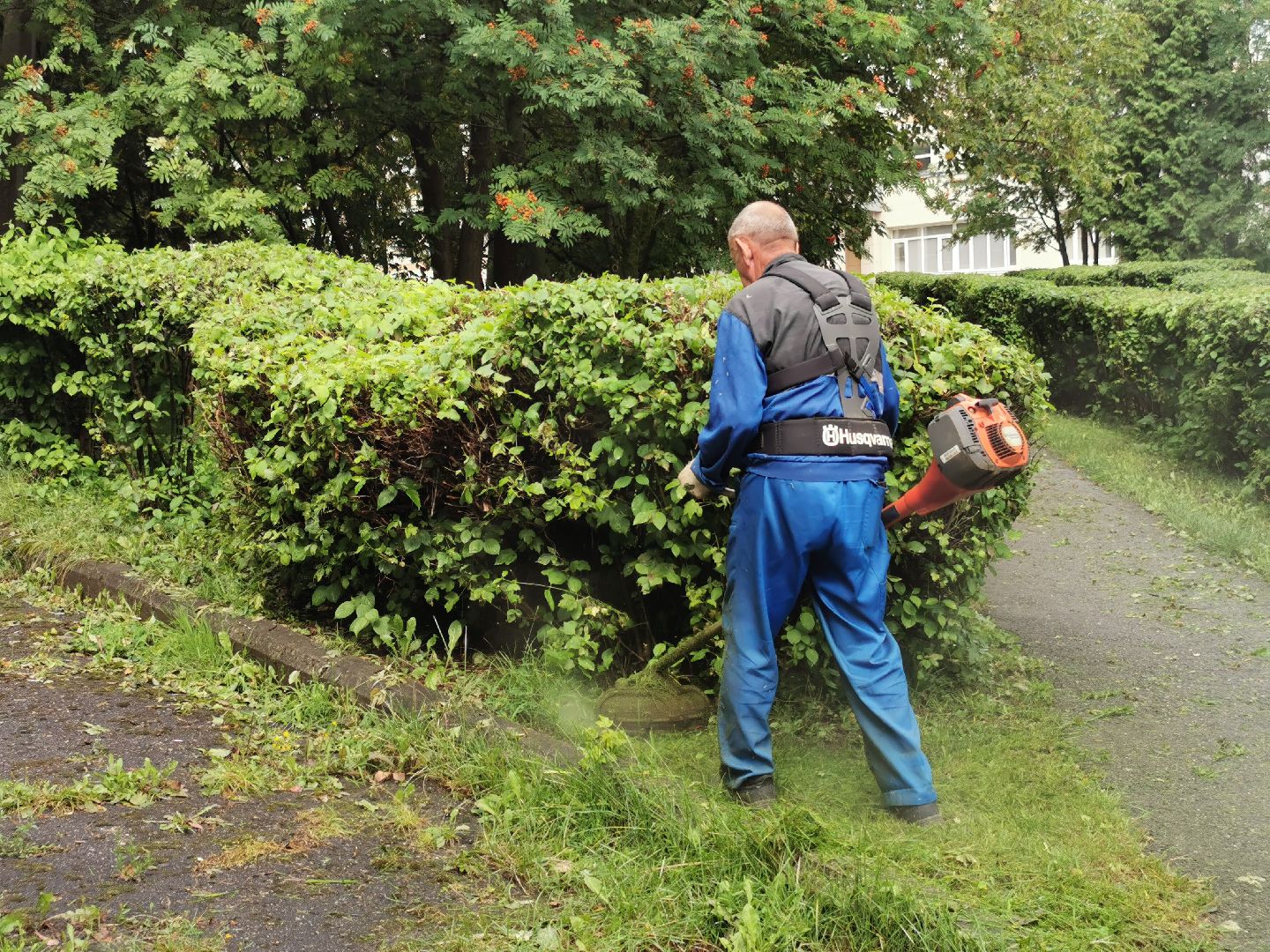 Подольск, трава, жкх