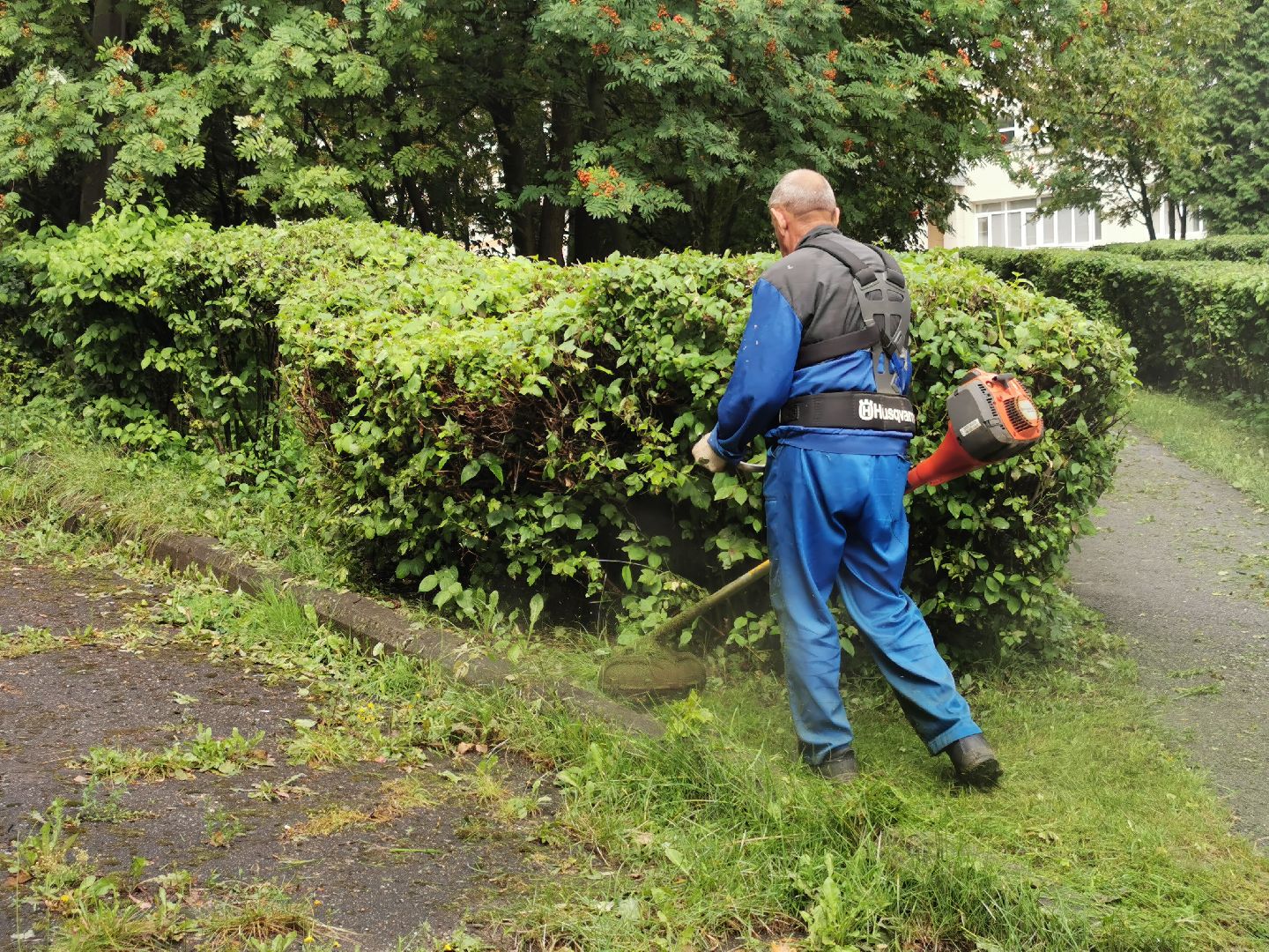 Подольск, трава, жкх