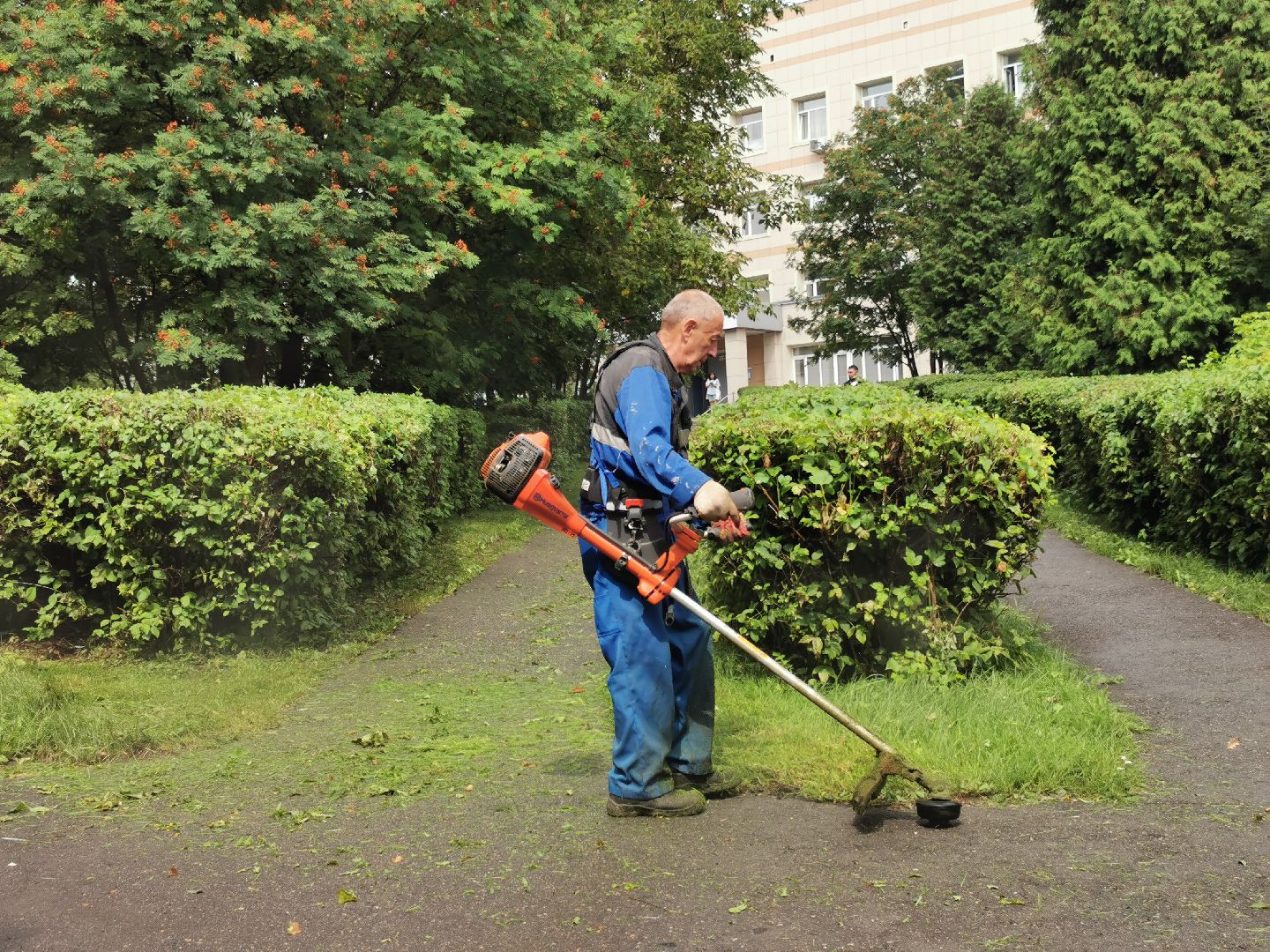 Подольск, трава, жкх