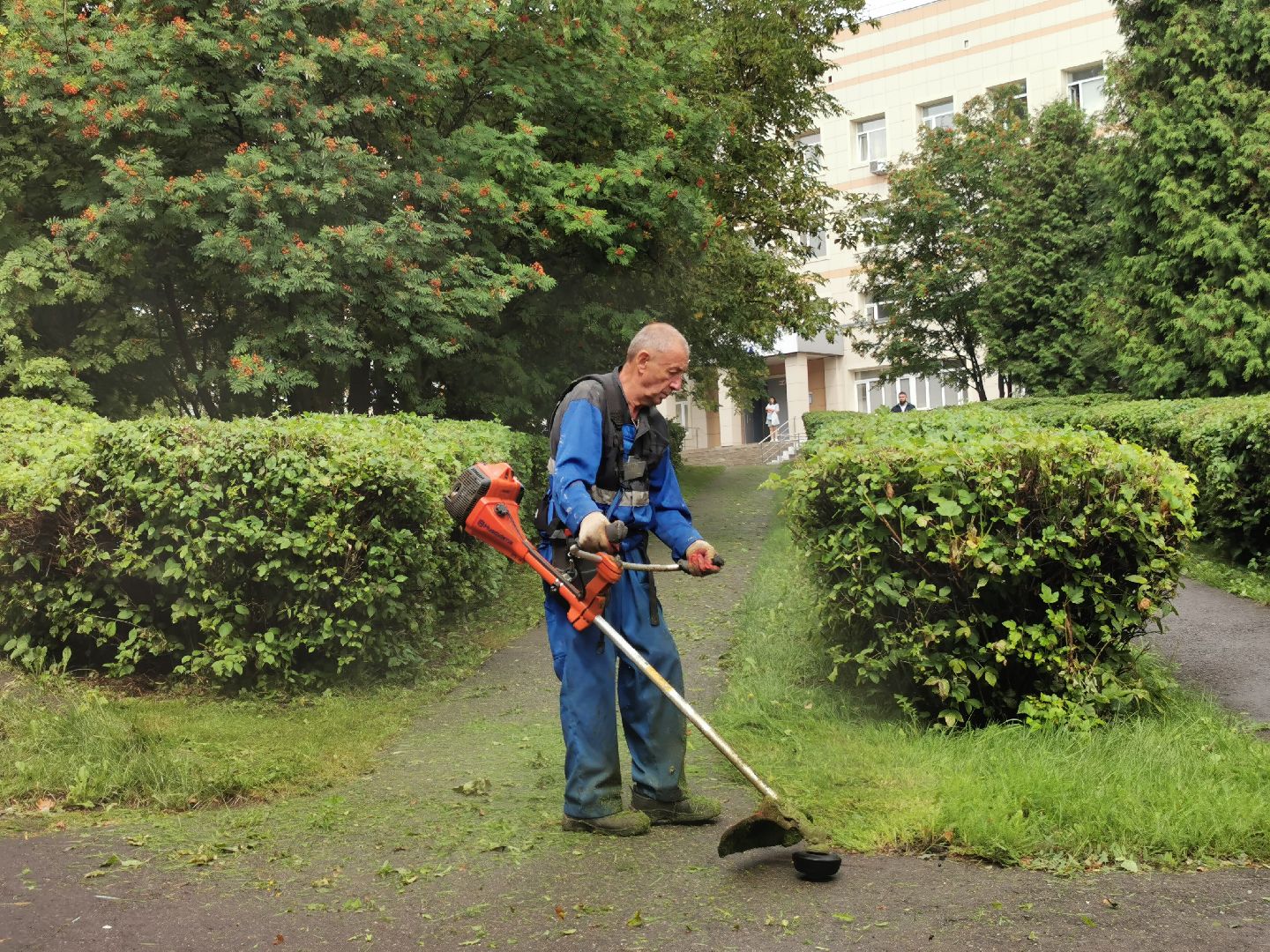 Подольск, трава, жкх