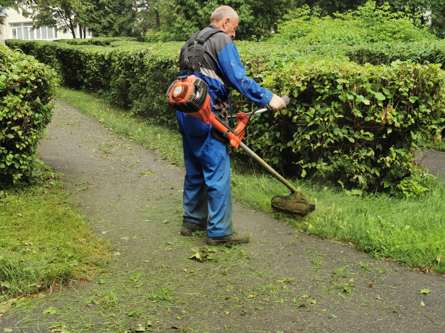 Подольск, трава, жкх