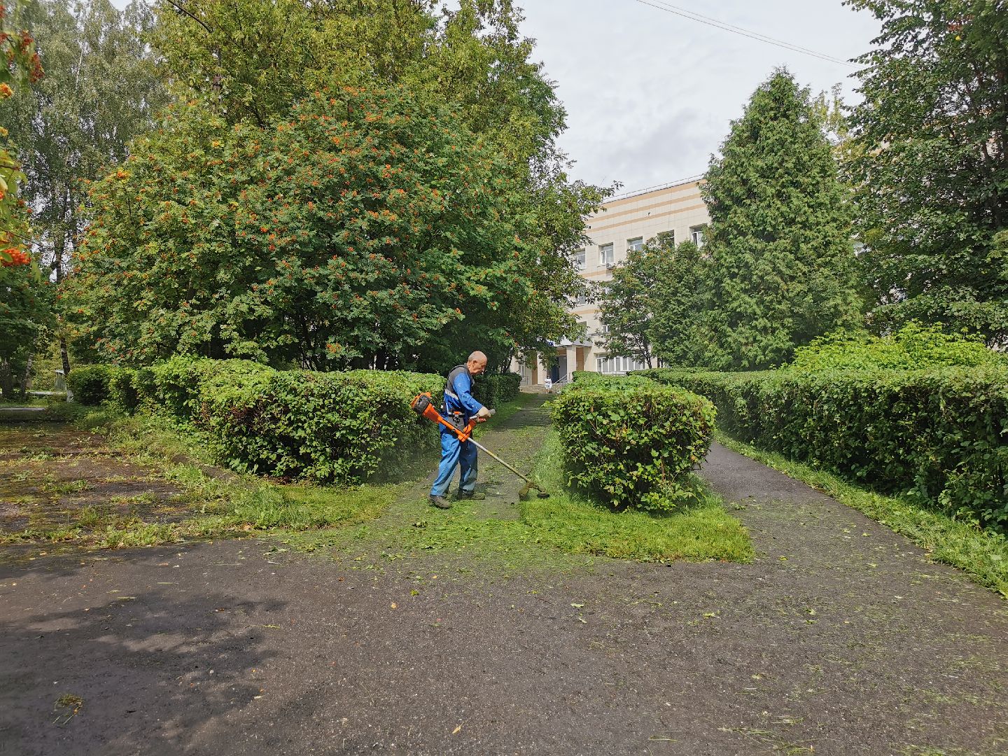 Подольск, трава, жкх