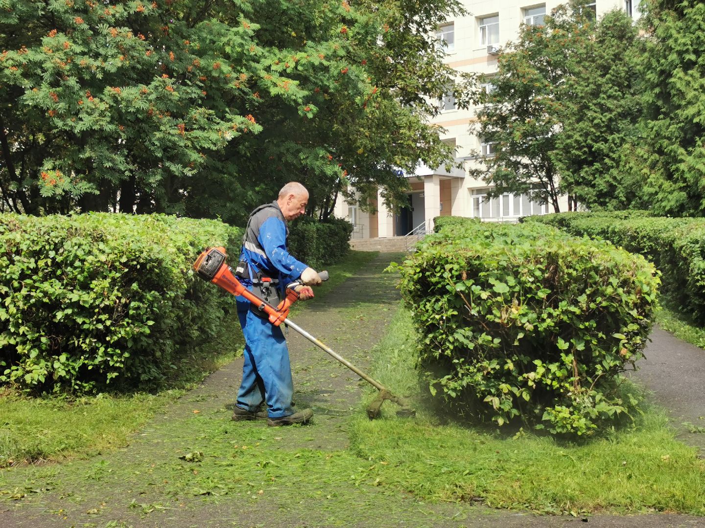 Подольск, трава, жкх