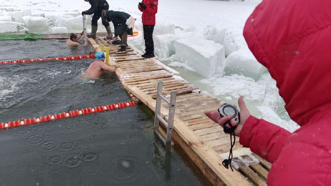 Моржи, Кубок Подмосковья, ЗОЖ, Домодедово
