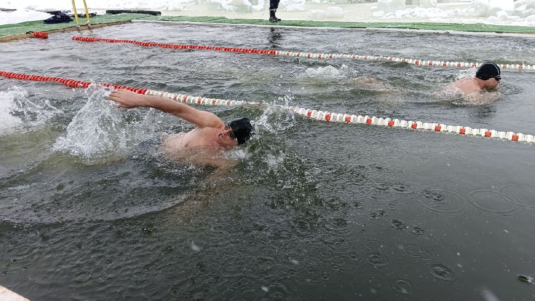 Моржи, Кубок Подмосковья, ЗОЖ, Домодедово