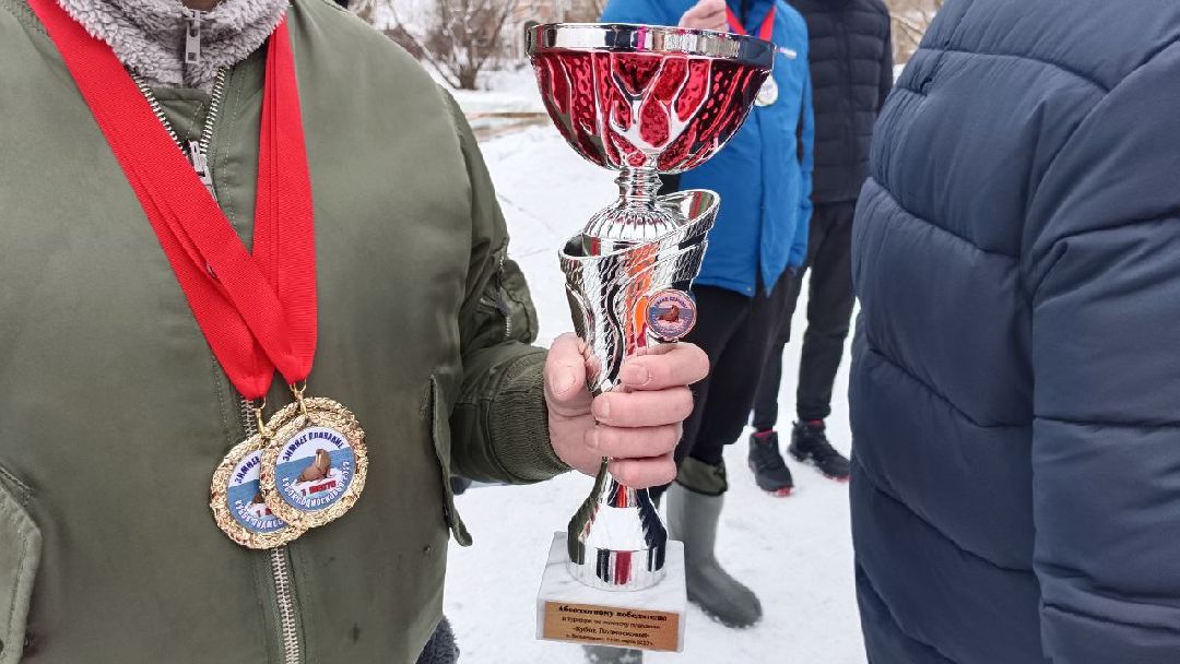 Моржи, Кубок Подмосковья, ЗОЖ, Домодедово