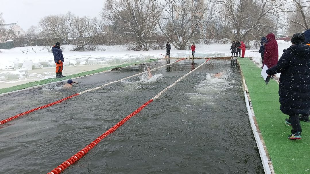 Моржи, Кубок Подмосковья, ЗОЖ, Домодедово