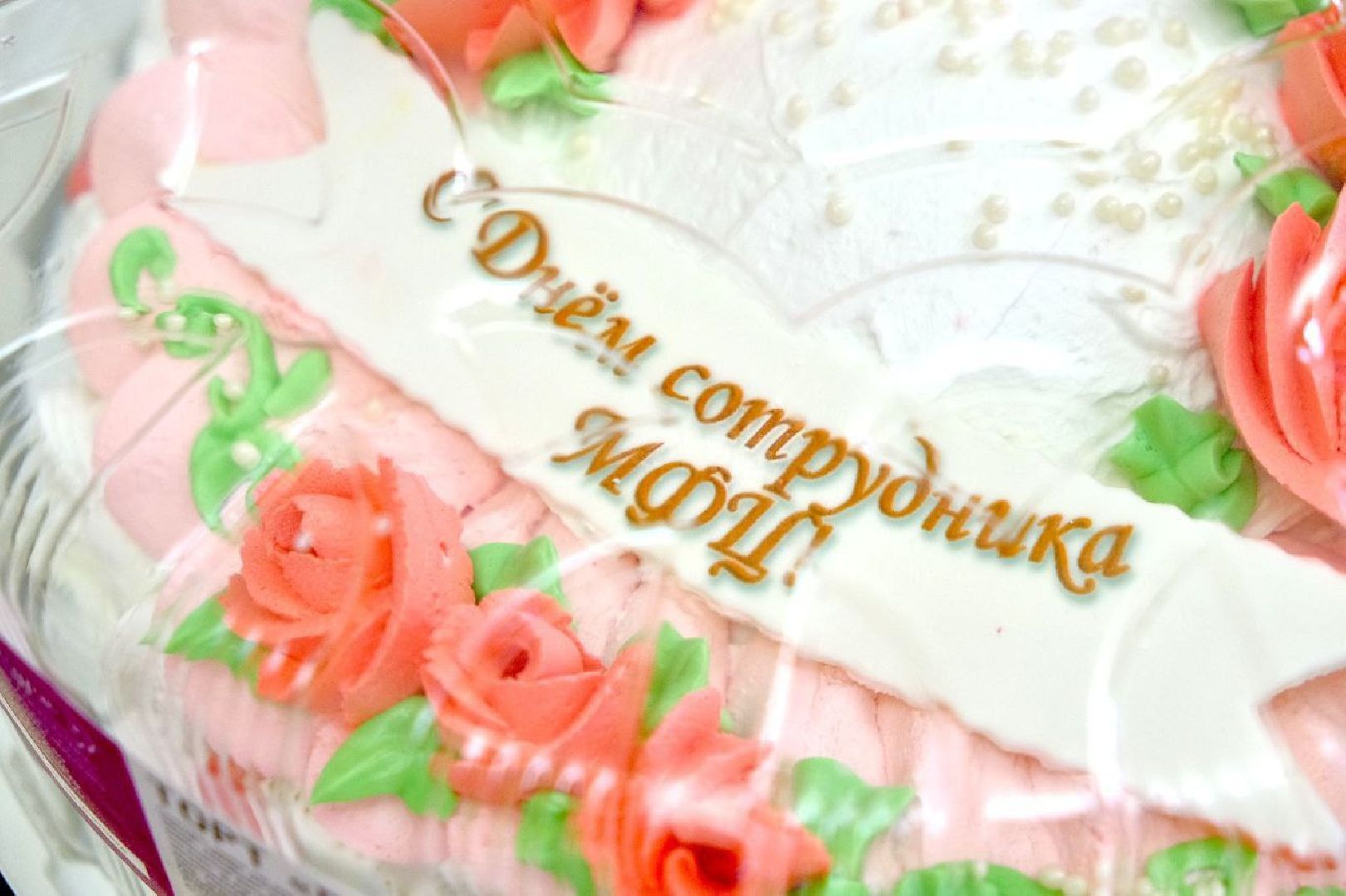Солнечногорск, праздник, мфц, сотрудники, поздравление