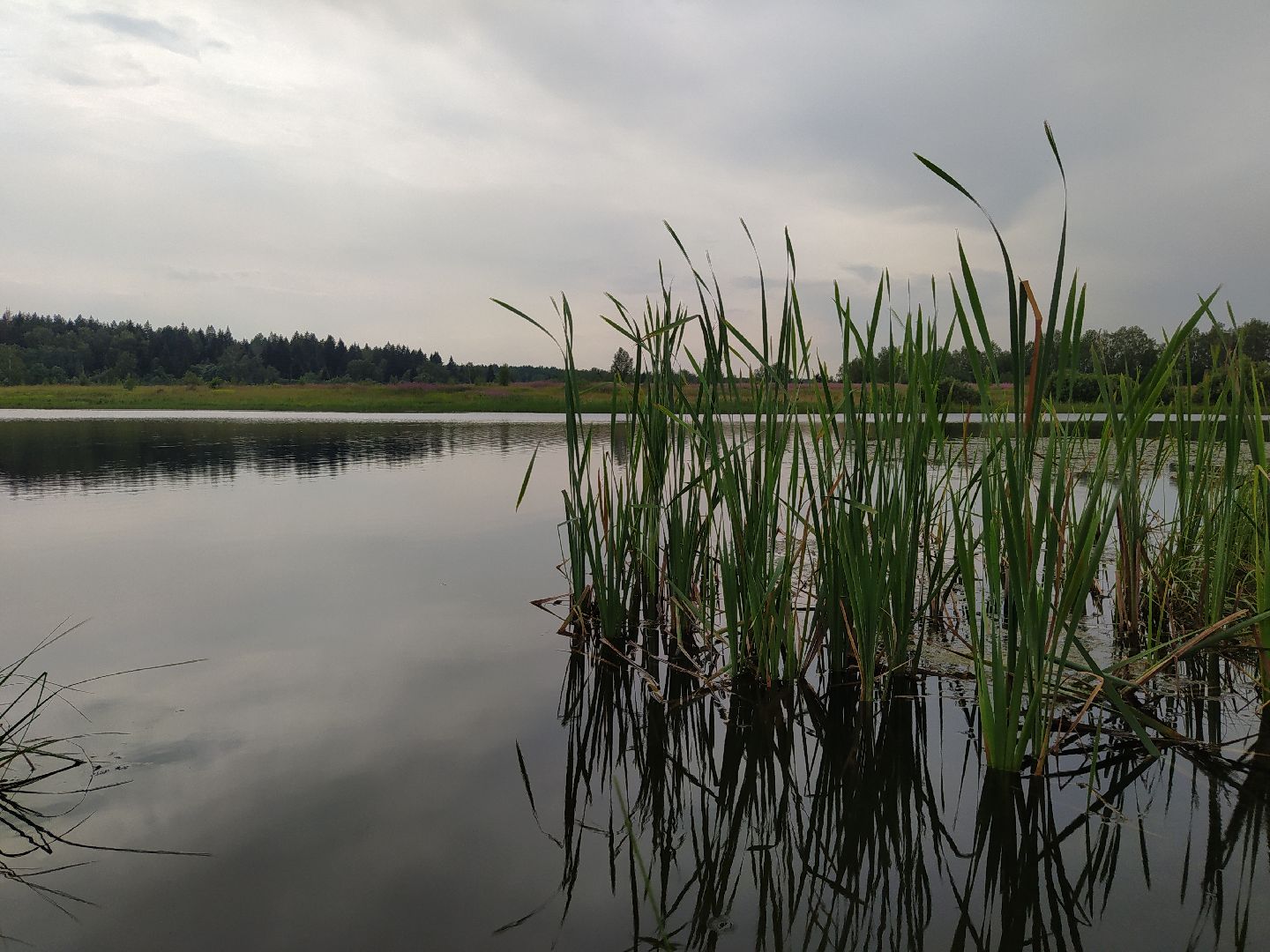 Нахабино, Красногорск, отдых, пруд