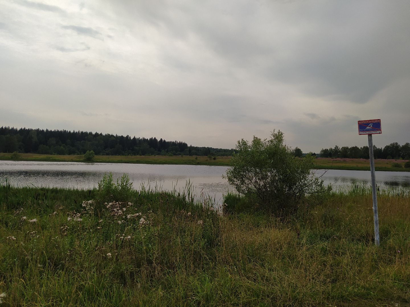 Нахабино, Красногорск, отдых, пруд