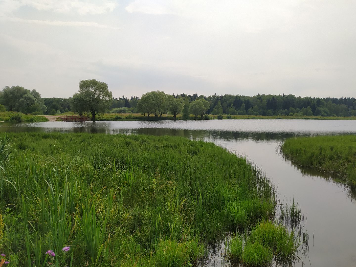 Нахабино, Красногорск, отдых, пруд