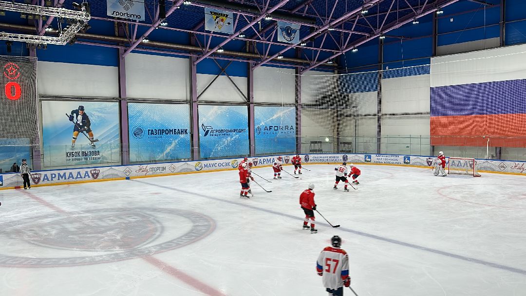 Одинцово, Хоккей, Кубок Гагарина, Ночная Хоккейная Лига, Александр Самокутяев, Красные звёзды