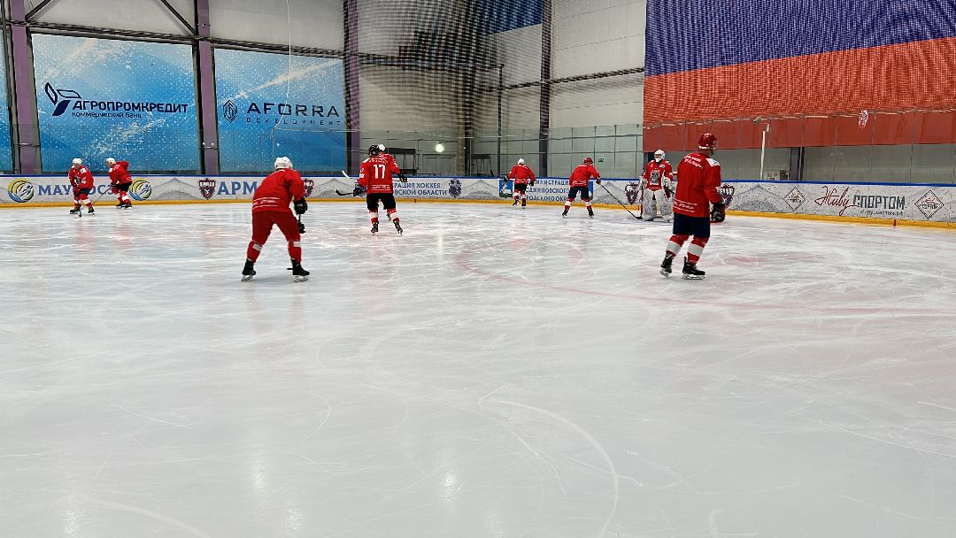 Одинцово, Хоккей, Кубок Гагарина, Ночная Хоккейная Лига, Александр Самокутяев, Красные звёзды