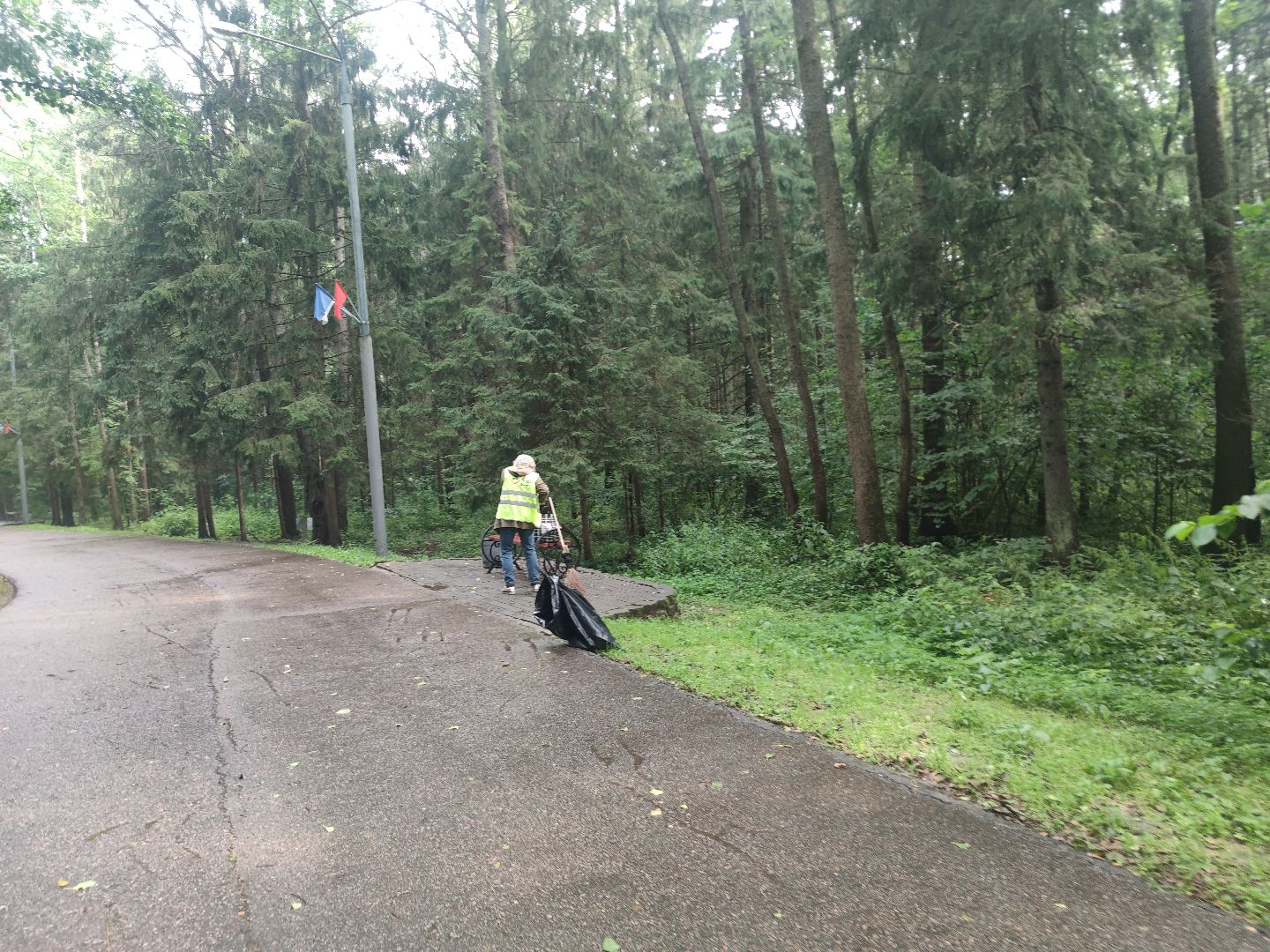 Уборка города, чистота, парк, мемориал, Дубна