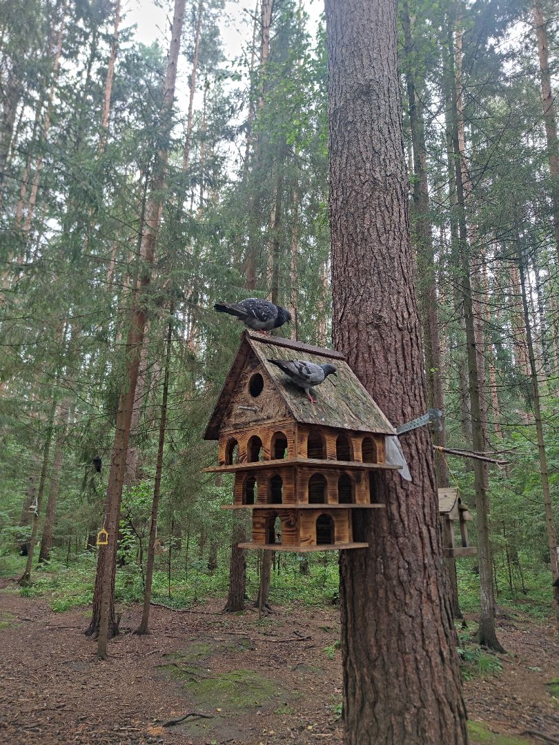 Уборка города, чистота, парк, мемориал, Дубна