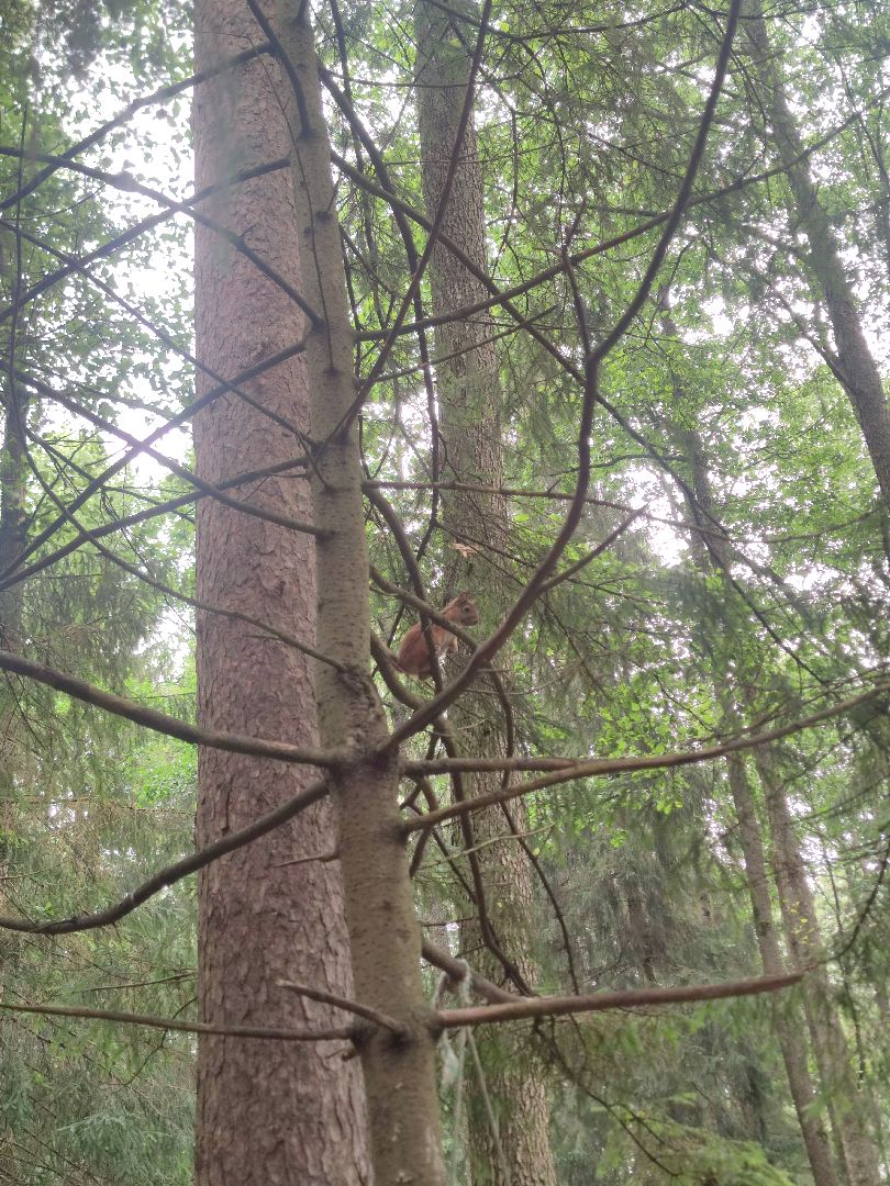 Уборка города, чистота, парк, мемориал, Дубна