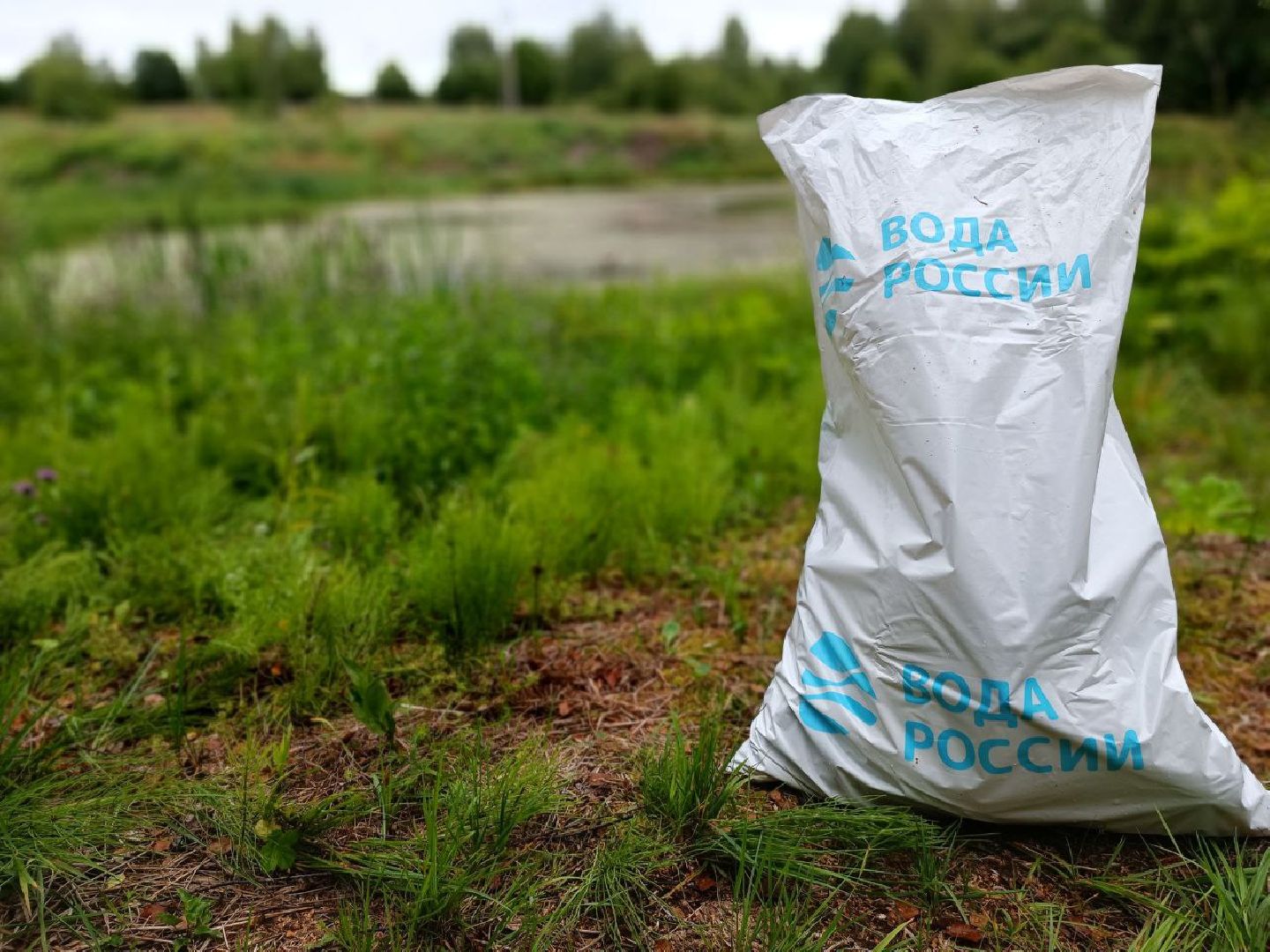 Можайск, Можайский городской округ, Подмосковье, акция, Вода России, экология, субботник, мусор, жители