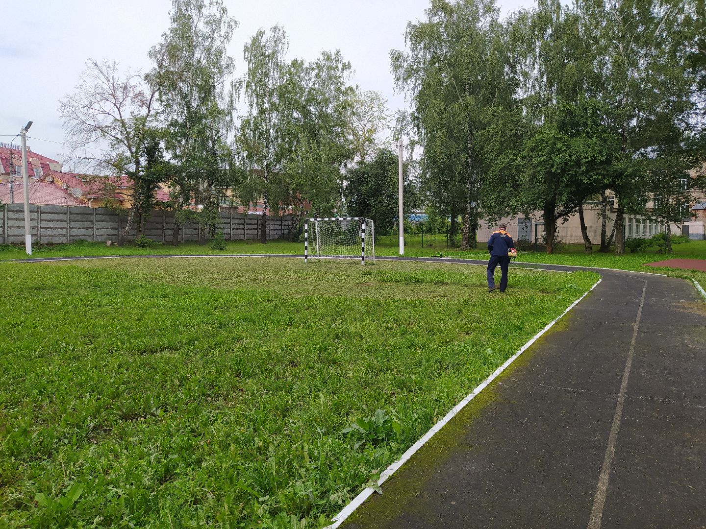 Нахабино, газон, трава, работы