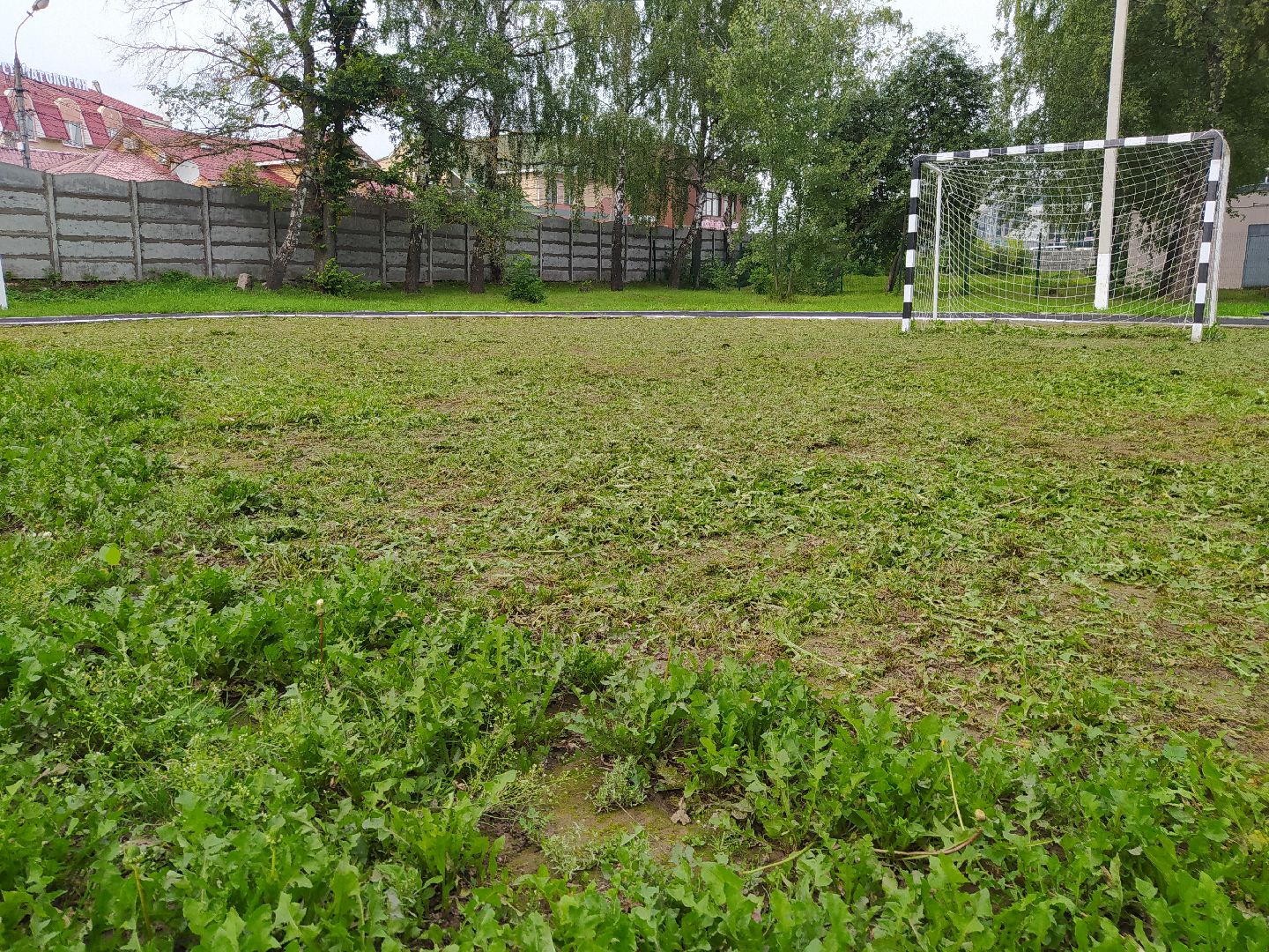 Нахабино, газон, трава, работы