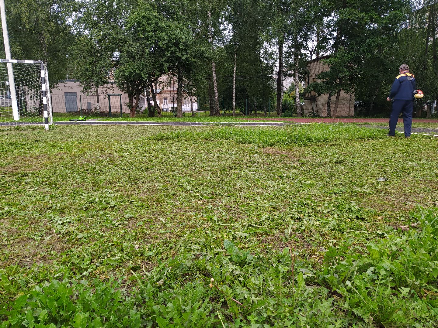 Нахабино, газон, трава, работы