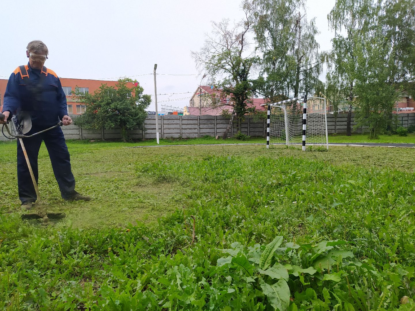 Нахабино, газон, трава, работы