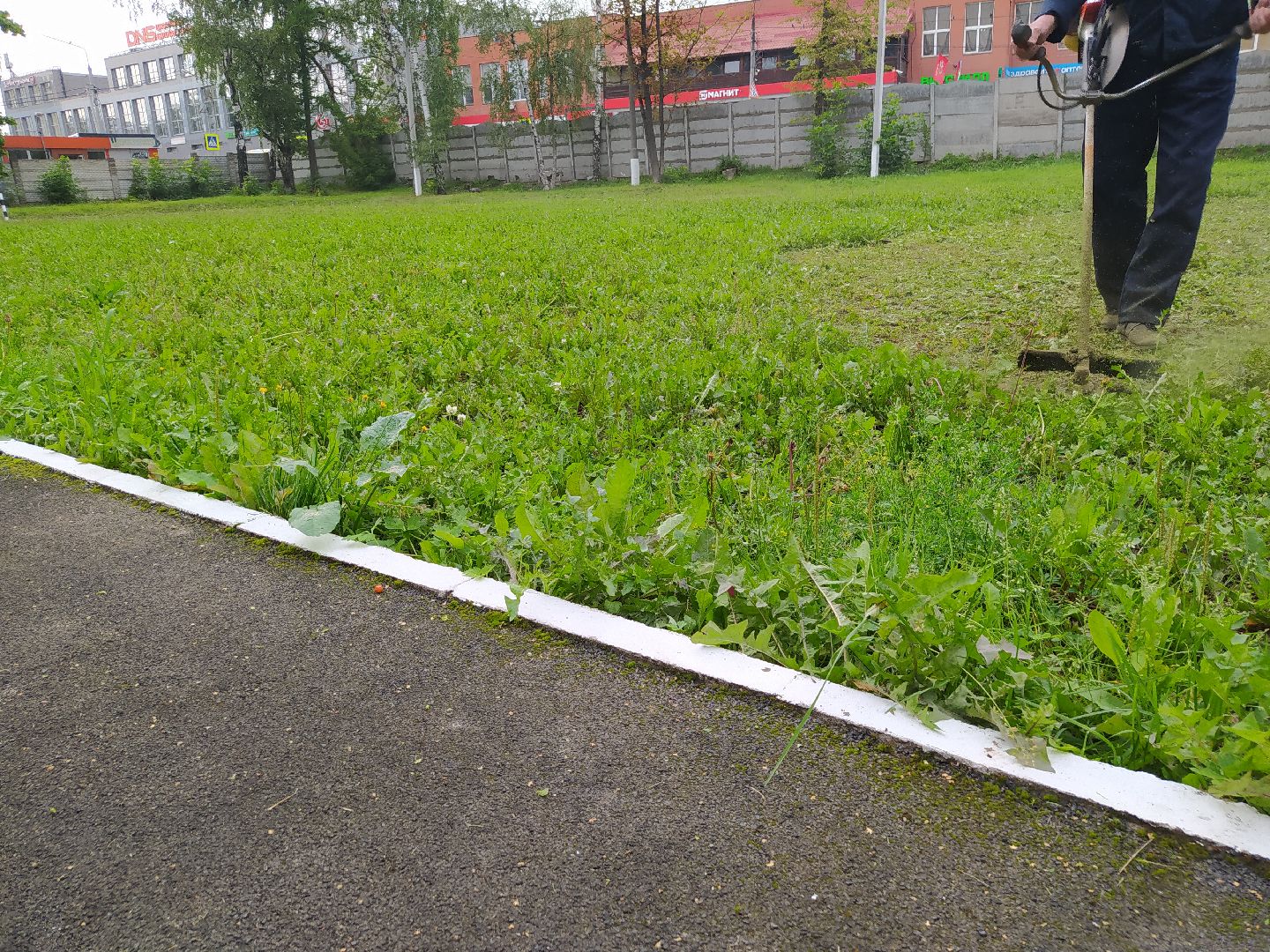 Нахабино, газон, трава, работы