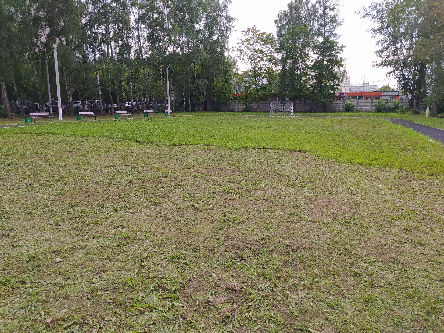 Нахабино, газон, трава, работы