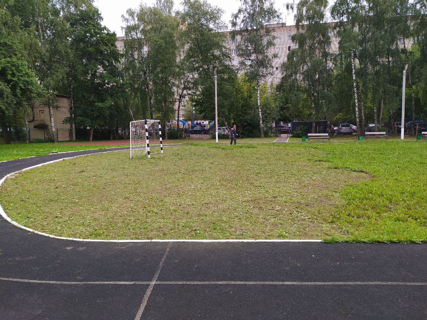 Нахабино, газон, трава, работы